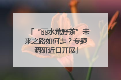 “丽水荒野茶”未来之路如何走？专题调研近日开展